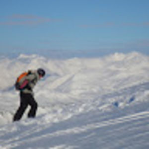 Meet your Posher, Tim